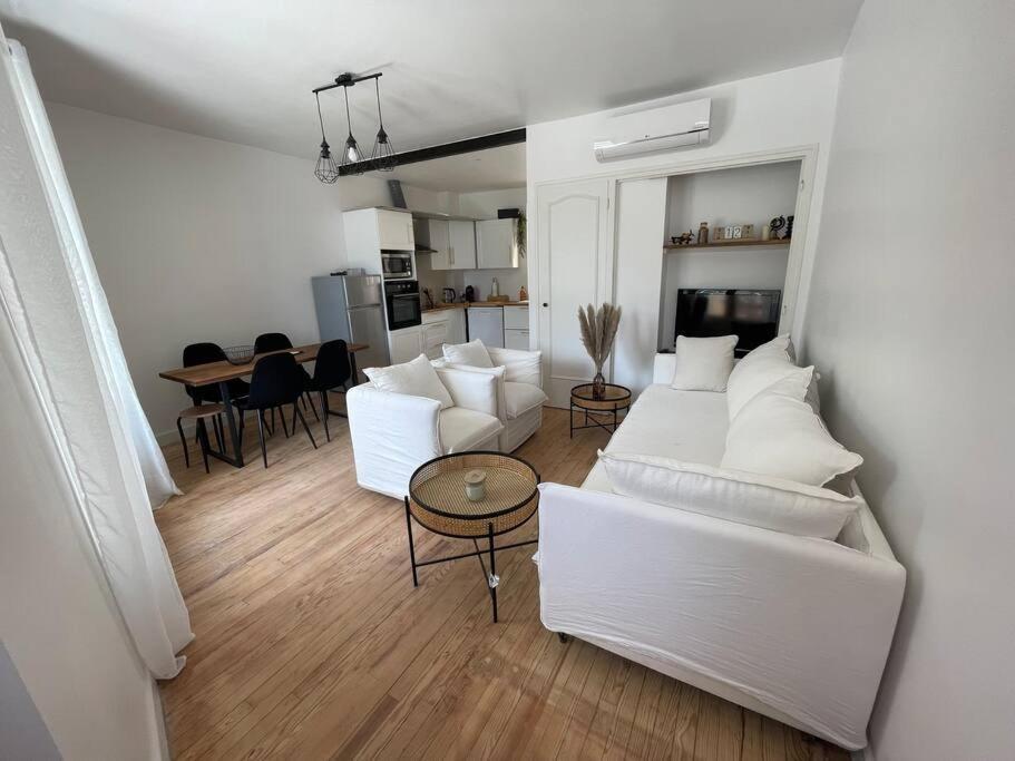 La Batellerie, Vue Sur Rhone Villa Tain-lʼHermitage Eksteriør billede